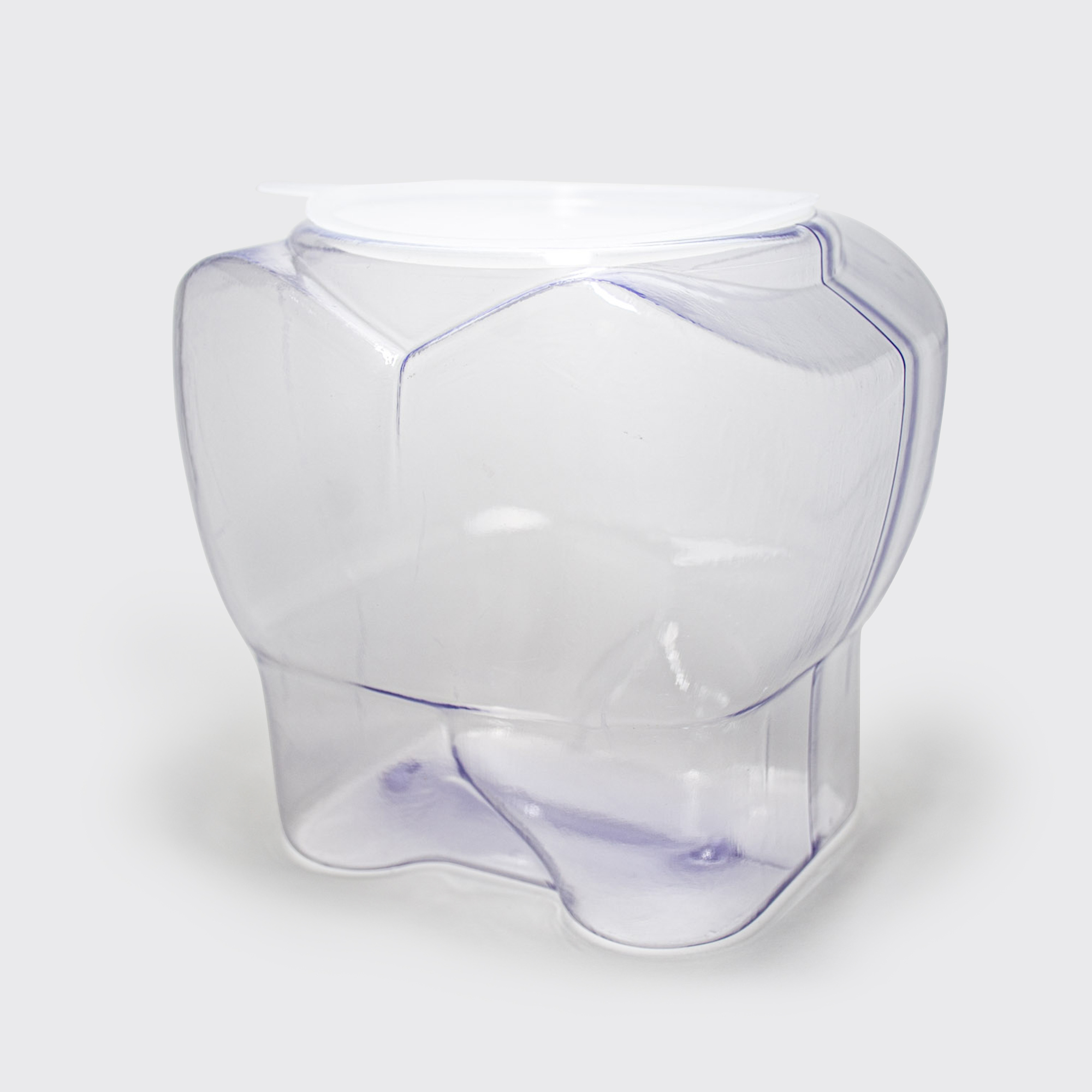 Tooth Bubble Container w/ Lid